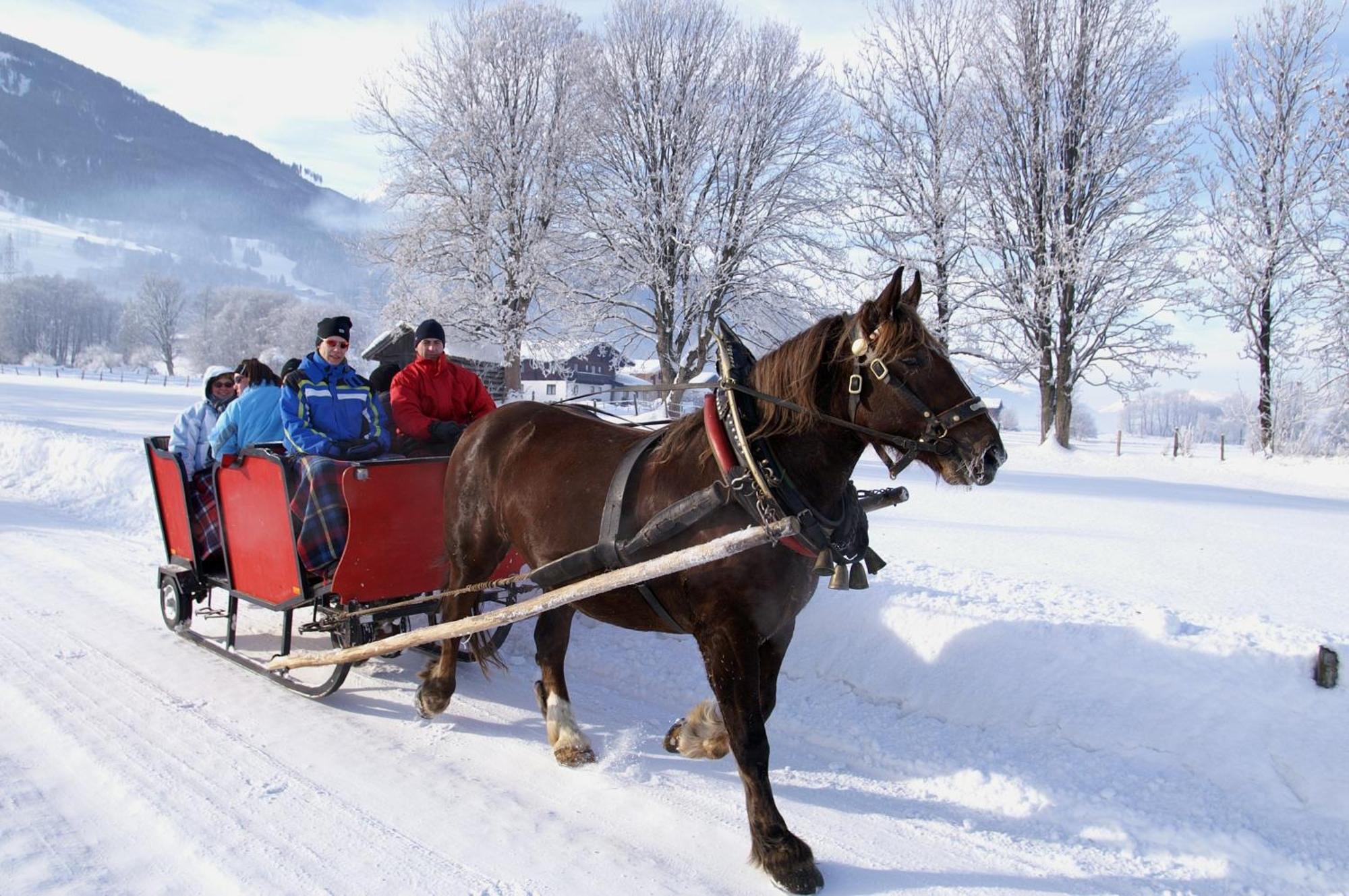 Hotel Gasthof Kroell - Inkl Nationalpark-Karte, 1 X Grossglockner Hochalpenstrasse Kostenlos, 1X Gerlos Alpenstrasse Kostenlos, Krimmler Wasserfaelle Kostenlos, Verschiedene Bergbahnen Kostenlos, Badesee Kostenlos, Bus & Zug Kostenlos, Genusskueche, נידרנסיל מראה חיצוני תמונה