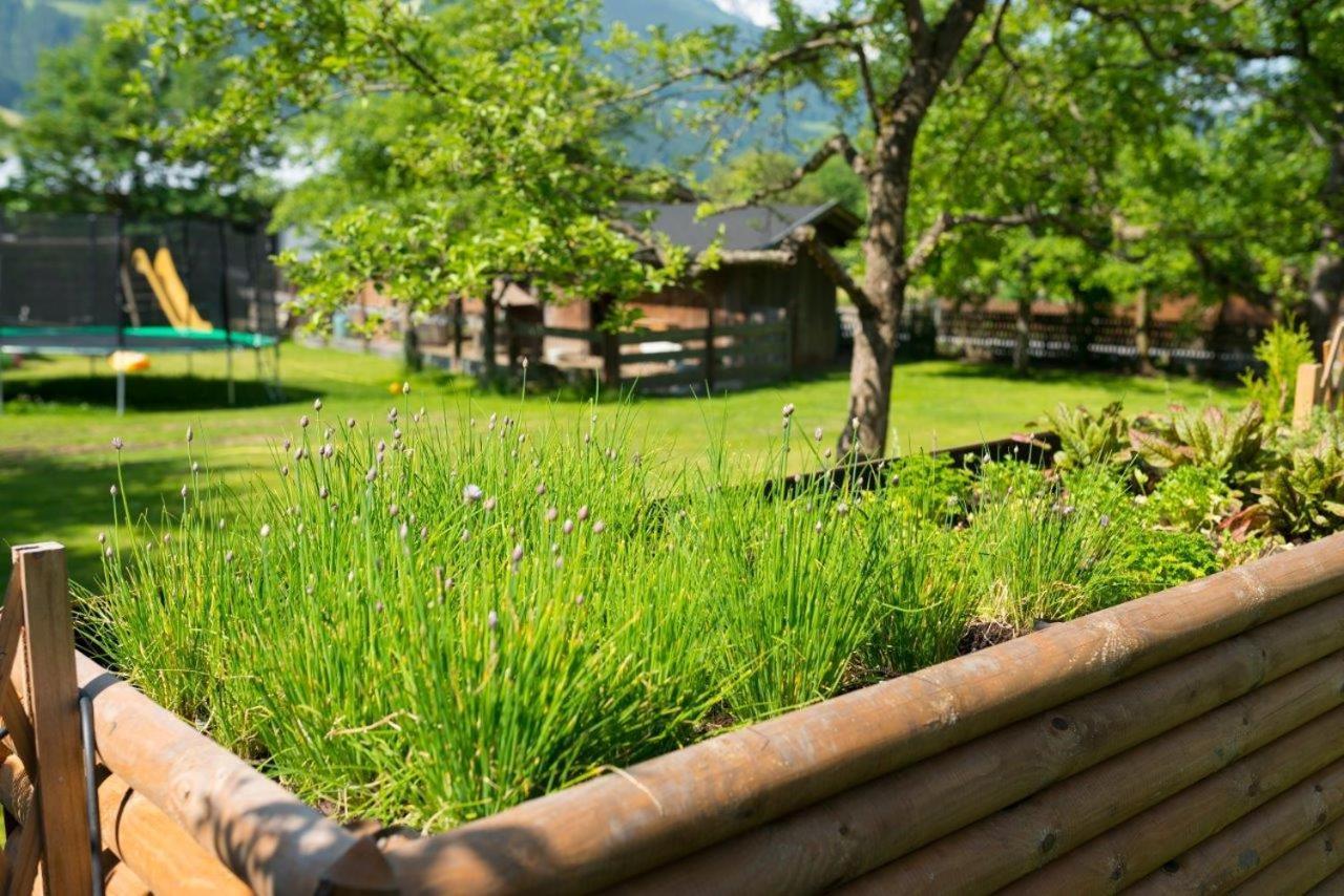 Hotel Gasthof Kroell - Inkl Nationalpark-Karte, 1 X Grossglockner Hochalpenstrasse Kostenlos, 1X Gerlos Alpenstrasse Kostenlos, Krimmler Wasserfaelle Kostenlos, Verschiedene Bergbahnen Kostenlos, Badesee Kostenlos, Bus & Zug Kostenlos, Genusskueche, נידרנסיל מראה חיצוני תמונה